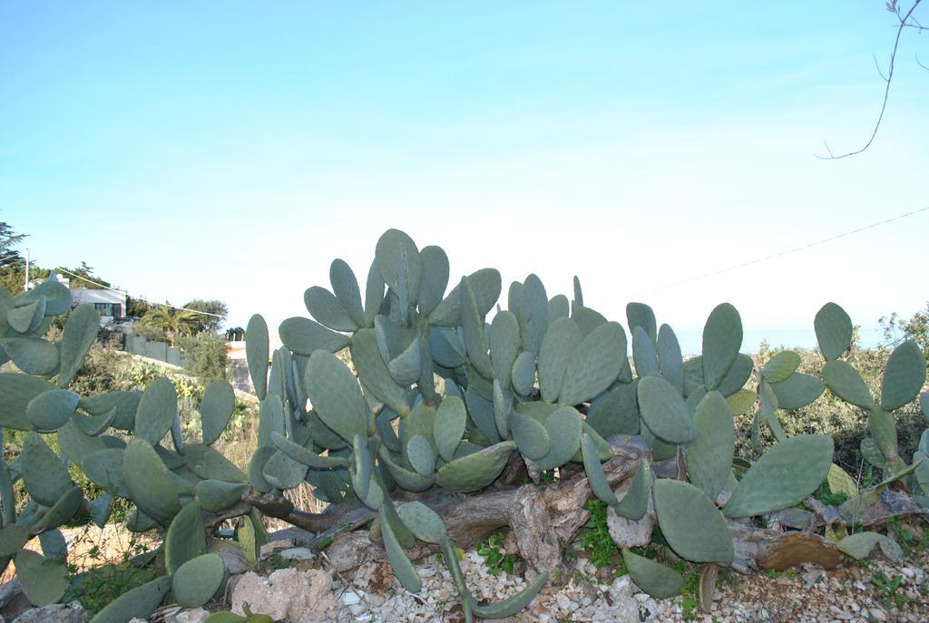 Le Dimore Del Sarto Polignano A Mare Eksteriør billede